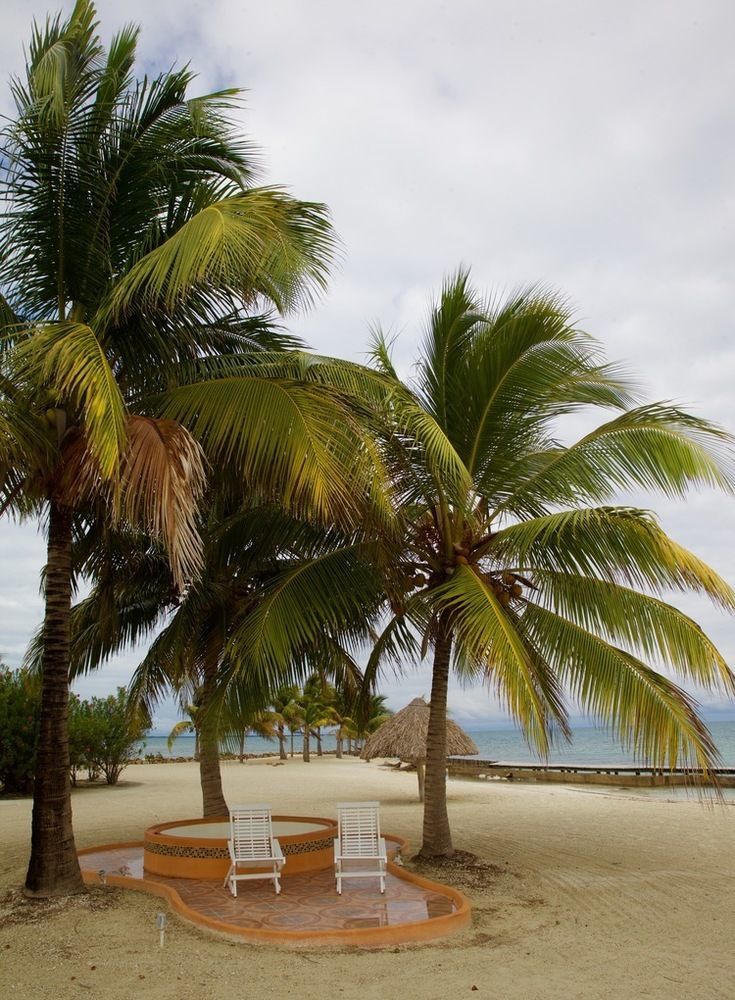 Royal Belize Hotel Thatch Caye Buitenkant foto