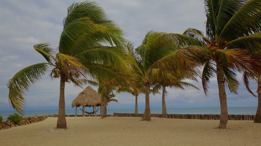 Royal Belize Hotel Thatch Caye Buitenkant foto