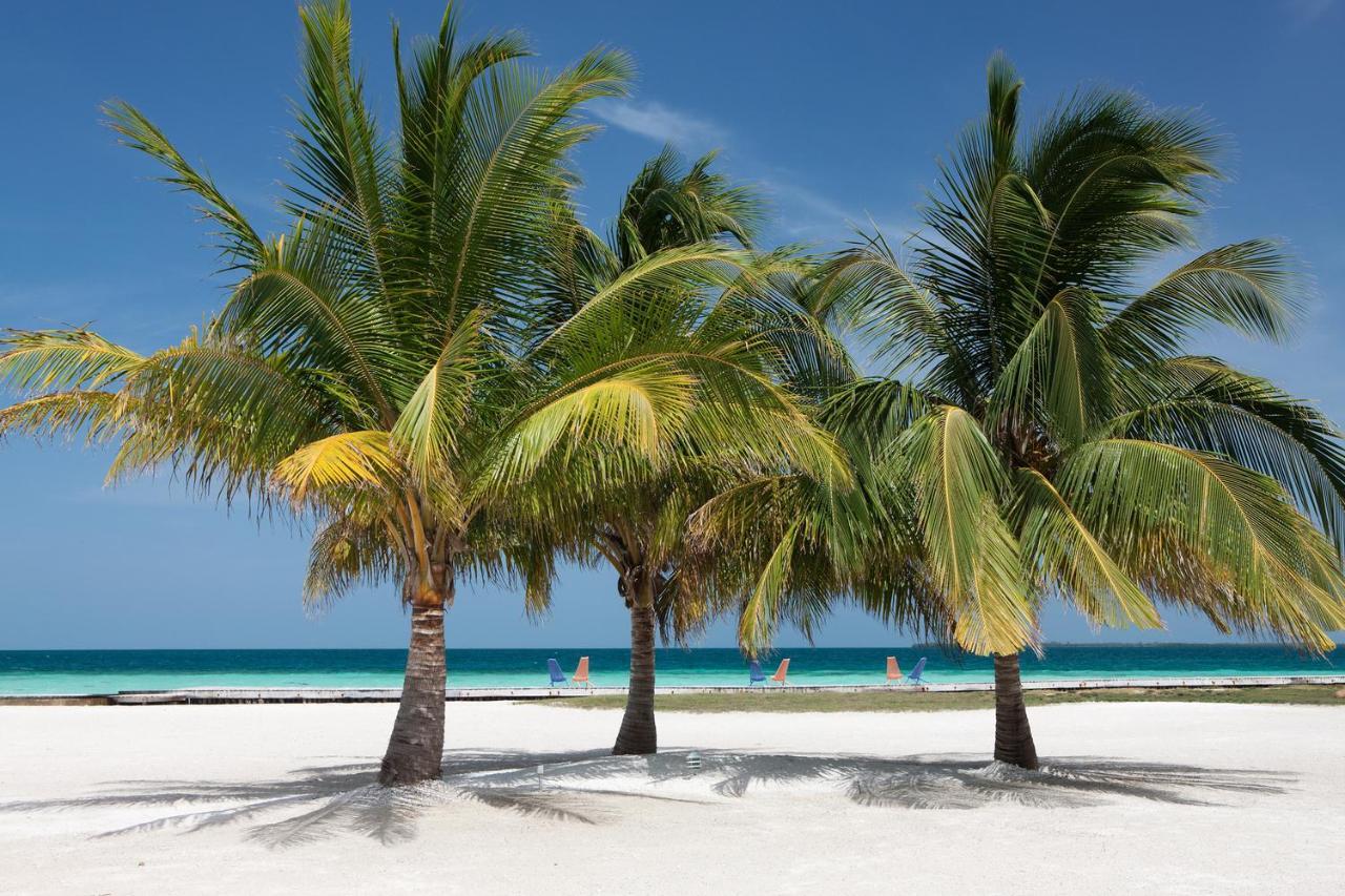 Royal Belize Hotel Thatch Caye Buitenkant foto