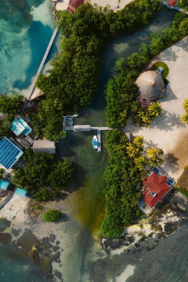 Royal Belize Hotel Thatch Caye Buitenkant foto